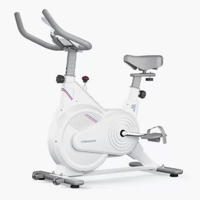 Exercise Bike Magnetic Resistance - Indoor Stationary Spin Bike, Silent Magnetic
