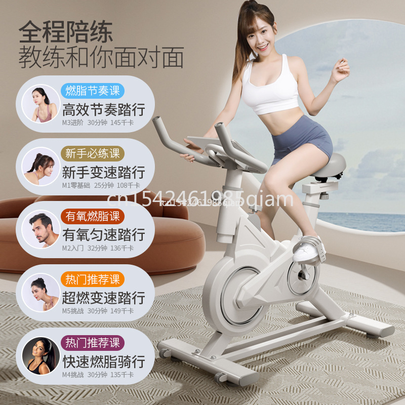 Indoor Upright Fitness Bike Du - Exercise Bike Magnetic Resistance recension och pris