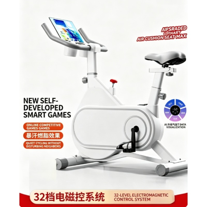 Silent Magnetic Resistance Spi - Exercise Bike Magnetic Resistance recension och pris