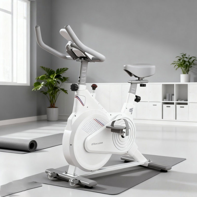 Indoor Stationary Spin Bike, S - Exercise Bike Magnetic Resistance recension och pris