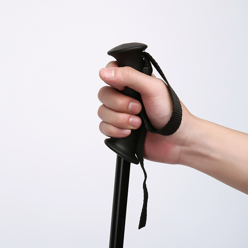 2-section Adjustable Telescopi - Hiking recension och pris